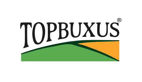 TopBuxus