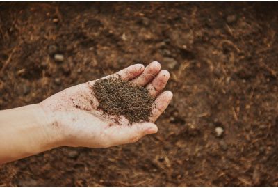 Innogreen's SuperTrio voor een vliegende start in het voorjaar