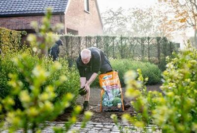 Najaar is aanplanttijd! De perfecte combi voor succesvol aanplanten