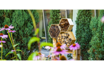 Stimuleer Biodiversiteit