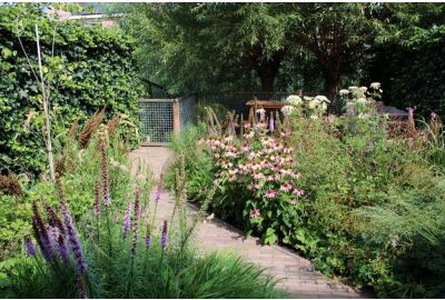 Biodiversiteit begint in onze eigen tuinen