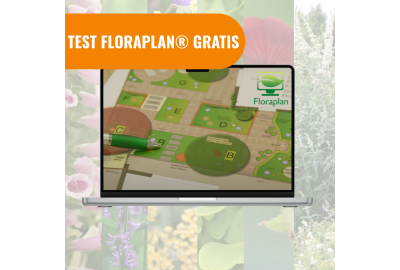 Kan Floraplan® jou ook helpen met het maken van een beplantingsplan?