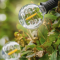 Ontdek de Hoogwaardige Solar Lichtsnoer van Iplux®