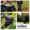 Niko Hydro Tuinpaal Essential | Krachtige eenvoud voor elke tuin