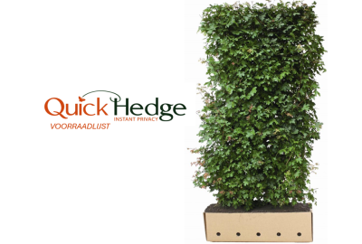 Voorraadlijst QuickHedge Hagen