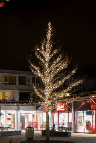 Set boomverlichting voor loofbomen van 6 meter hoogte