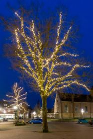 Set boomverlichting voor loofbomen van 9 meter hoogte