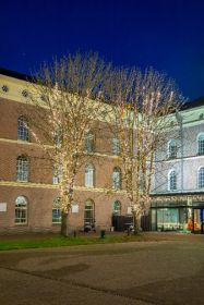 Set boomverlichting voor loofbomen van 10 meter hoogte