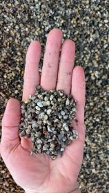 Grind 2-6 mm Big Bag 1000 KG