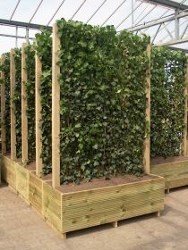 Mobilane Hardhouten Bak 145 x 60 x 50 (incl. haag 120 x 180)