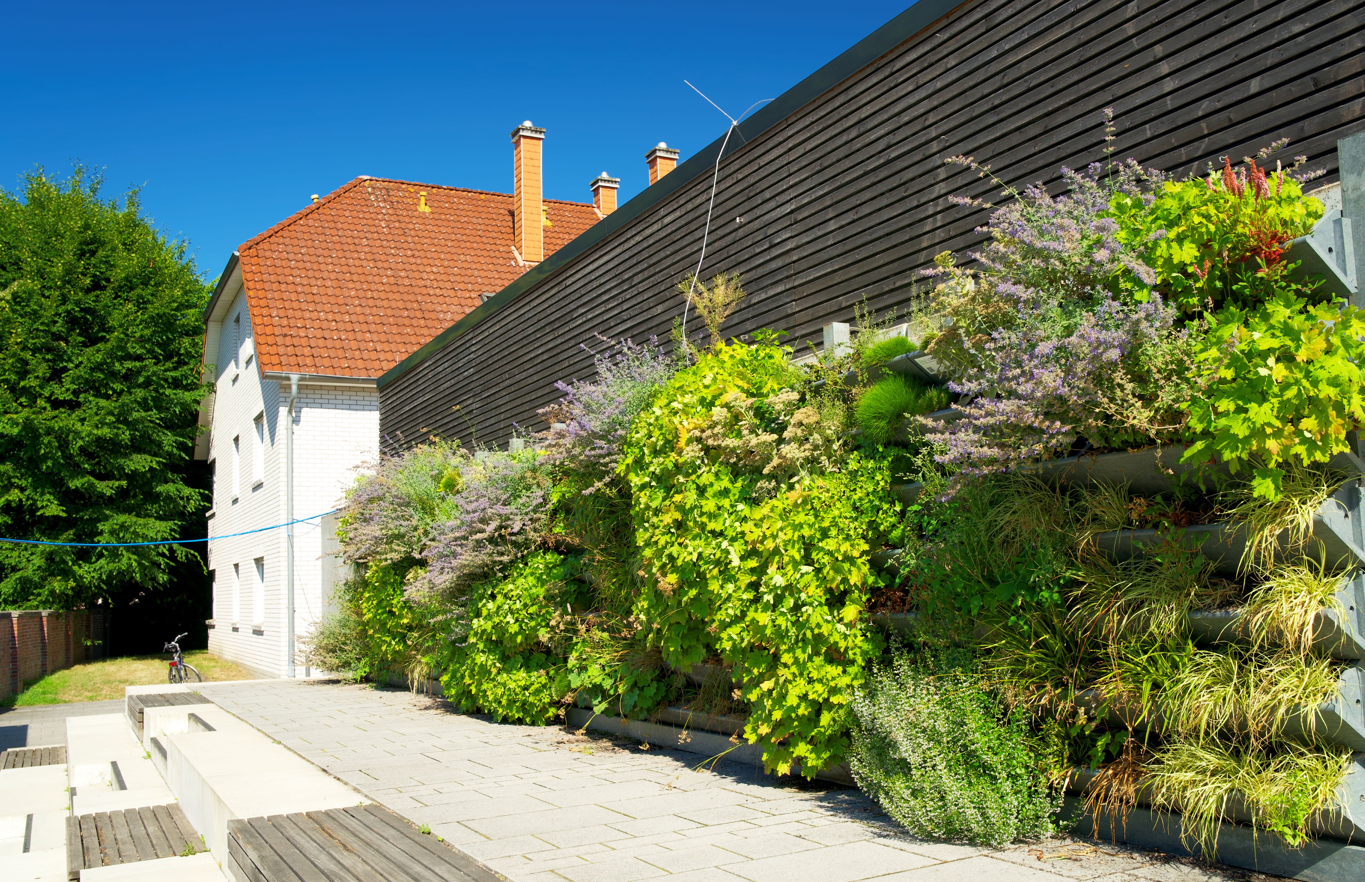 Save Lodge introduceert de save wall: de duurzaamste groene gevel van Nederland
